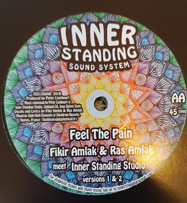 Joshua Hales / Fikir Amlak / Ras Amlak : Visualize / Feel The Pain (12", EP)