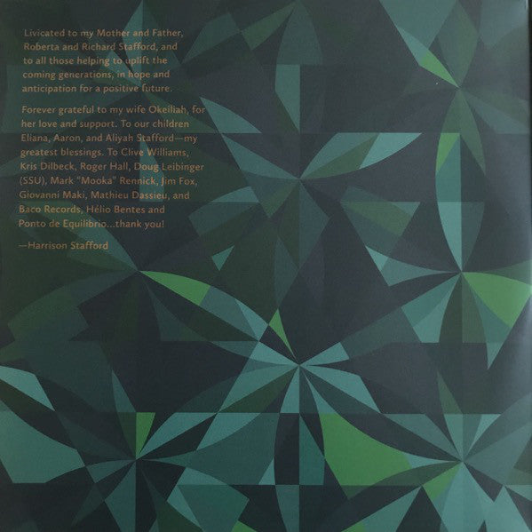 Groundation : The Next Generation (2xLP, Album)
