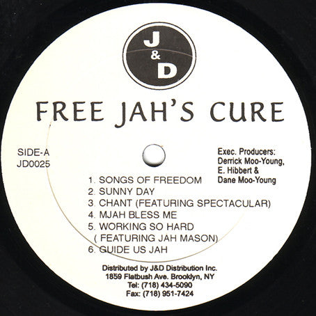 Jah Cure : Free Jah's Cure: The Album, The Truth (LP, Album)