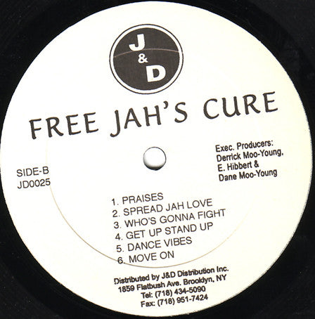 Jah Cure : Free Jah's Cure: The Album, The Truth (LP, Album)