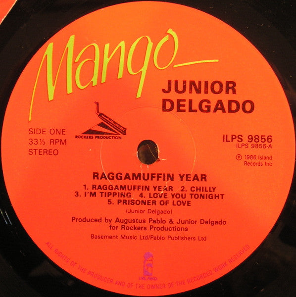 Junior Delgado : Raggamuffin Year (LP, Album)