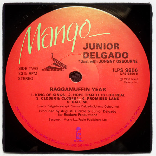 Junior Delgado : Raggamuffin Year (LP, Album)