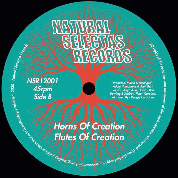 Anatta Sound ft. Anya Asia : Roots Of Creation  (12", Ltd)