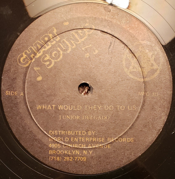 Junior Delgado : What Would They Do To Us (12", RE)