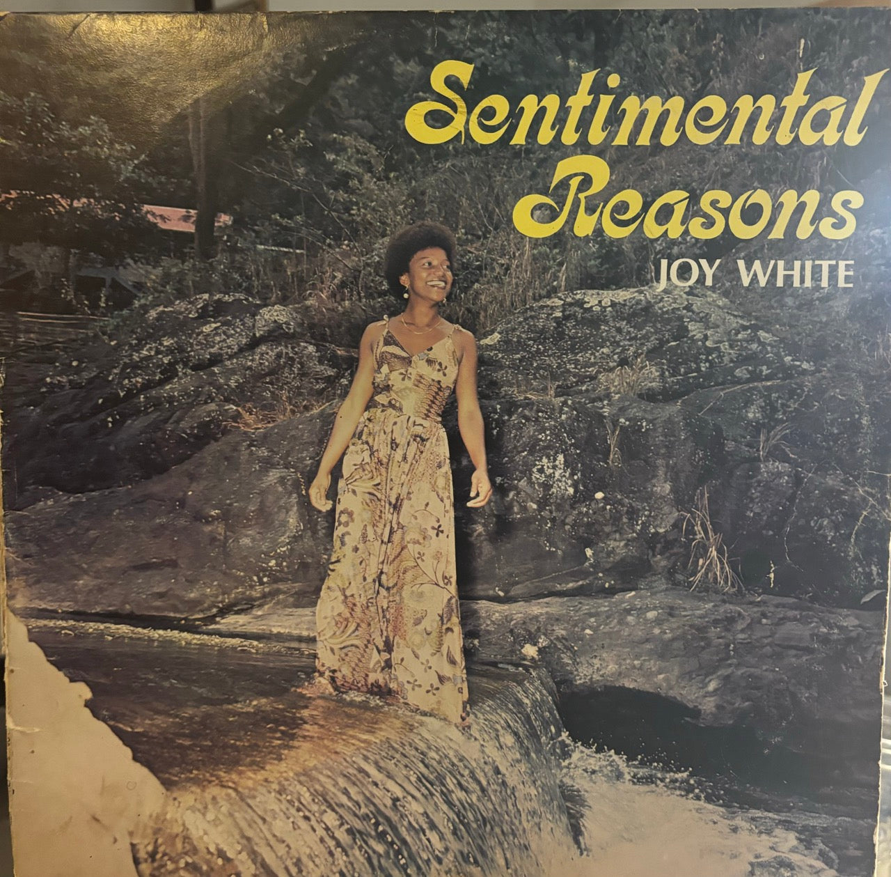 Joy White : Sentimental Reasons (LP, Album)