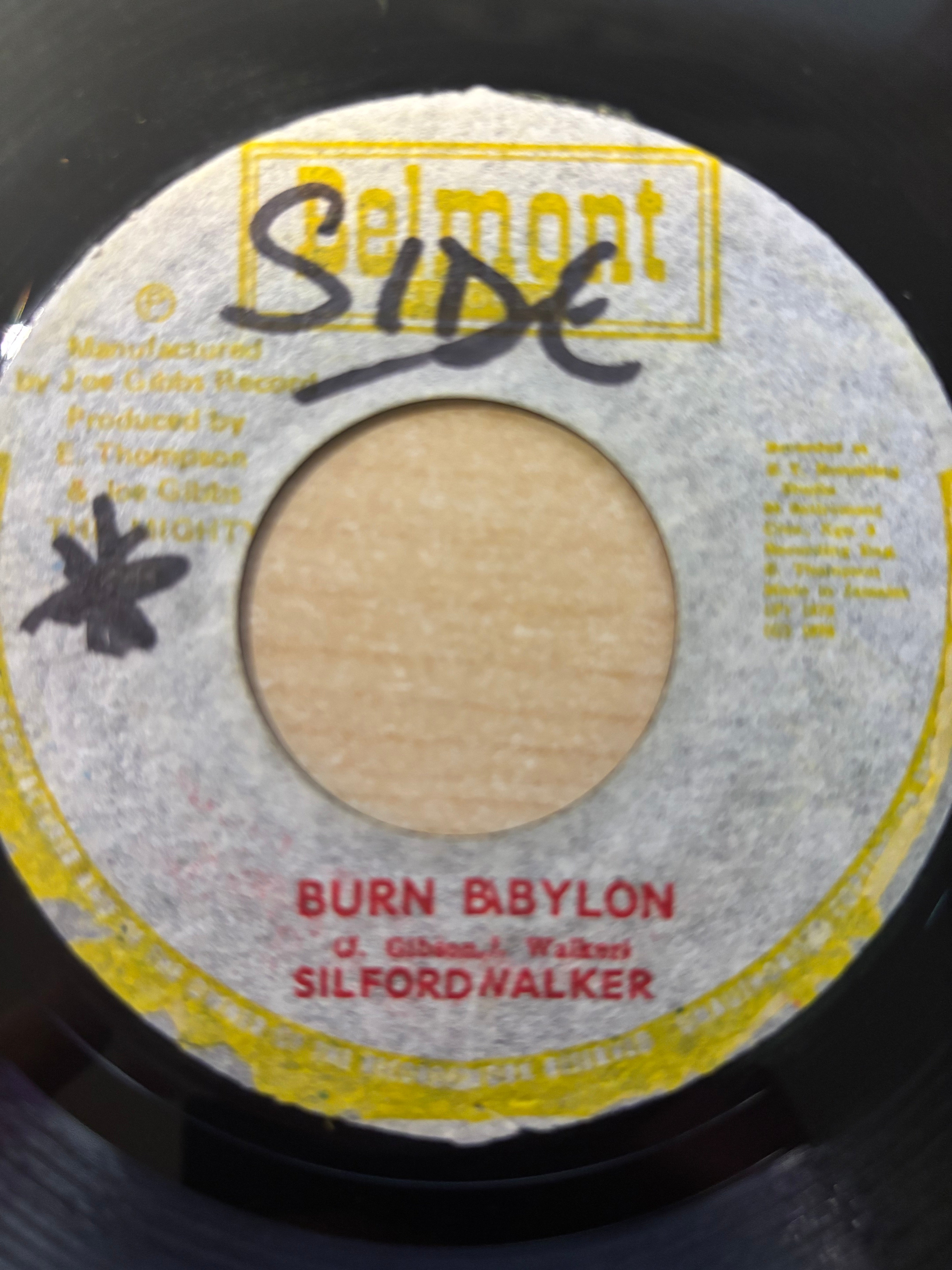 Sylford Walker : Burn Babylon (7")