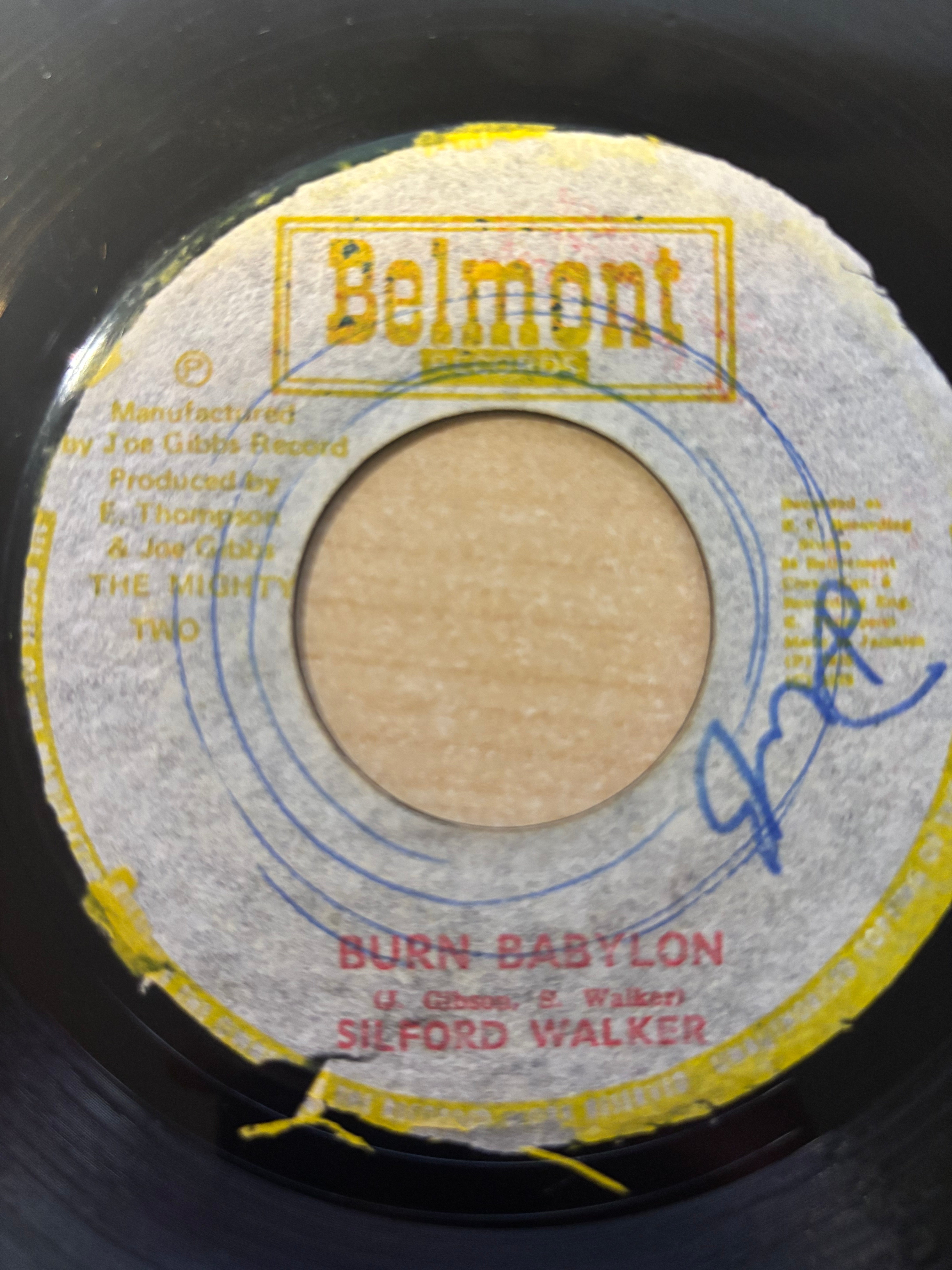 Sylford Walker : Burn Babylon (7")