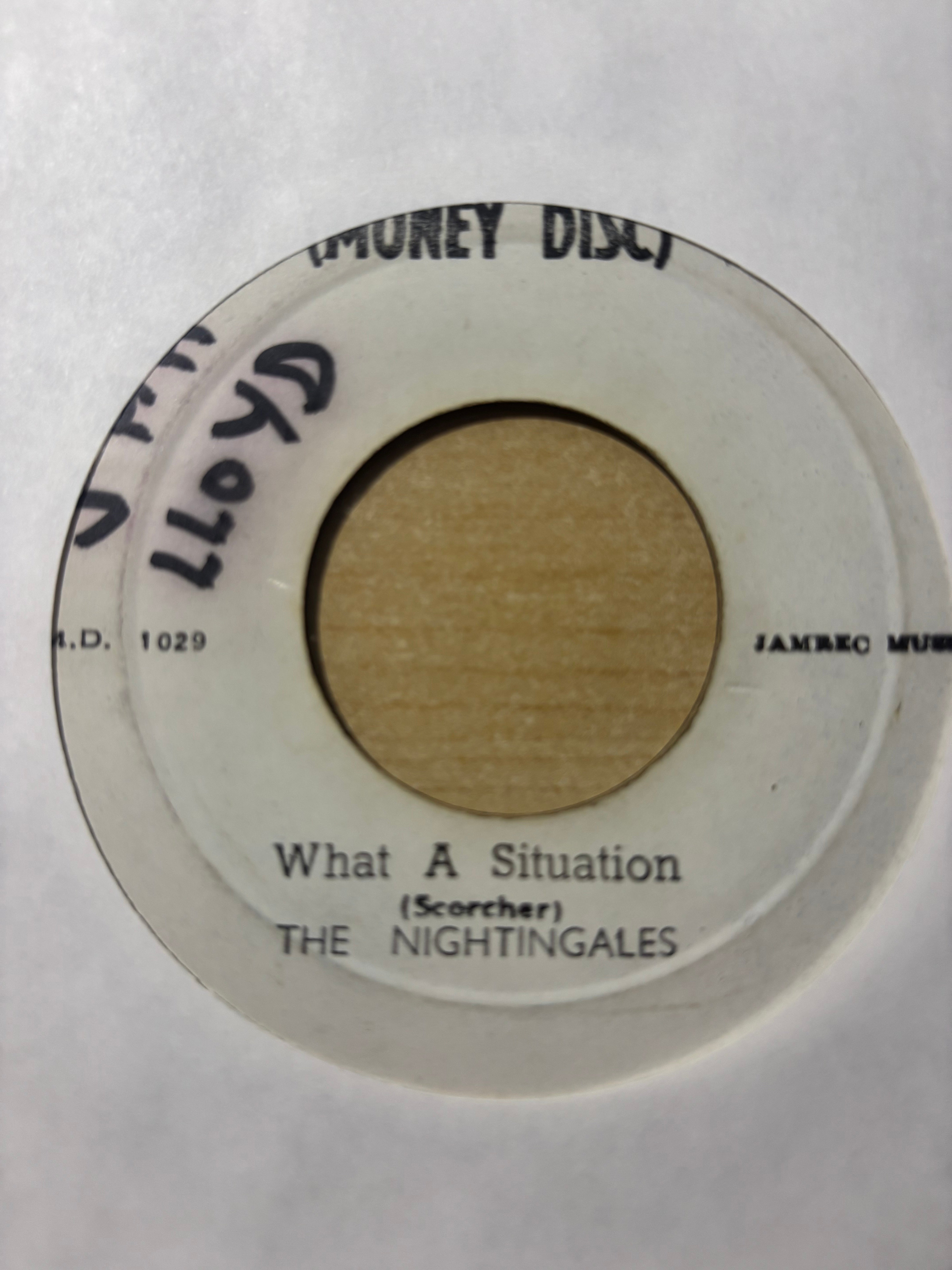The Nightingales (5) / The Brentford Rhythm Band : What A Situation / What A Version (7")