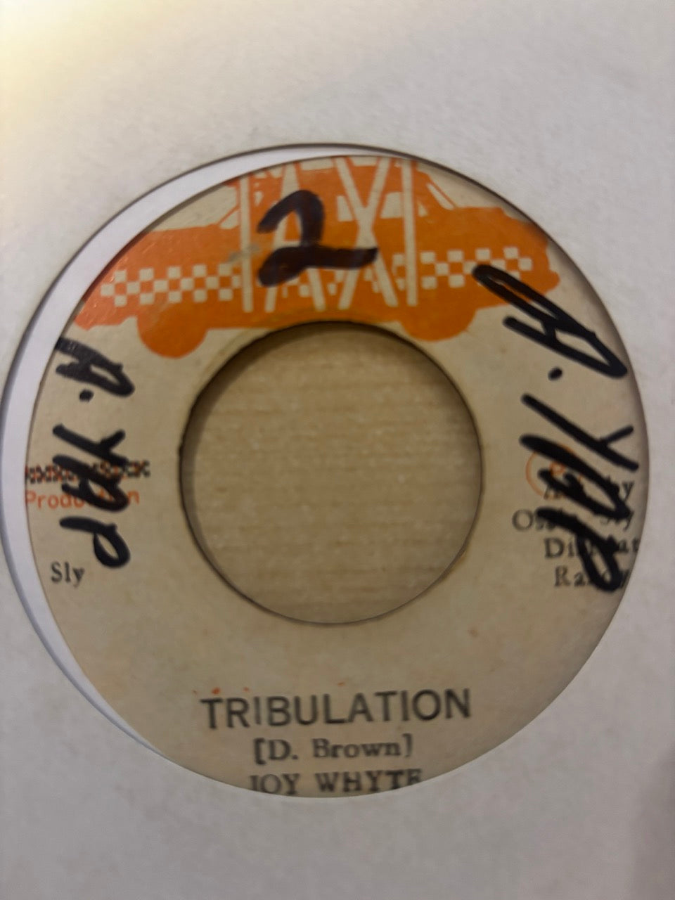 Joy White / Skin, Flesh & Bones : Tribulation / Version (7")