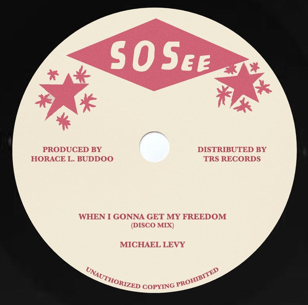 Michael Levy (2) : When I Gonna Get My Freedom (12")