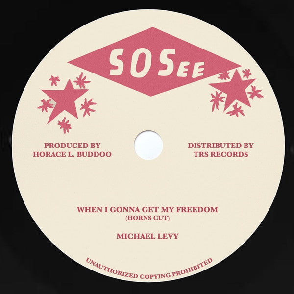 Michael Levy (2) : When I Gonna Get My Freedom (12")