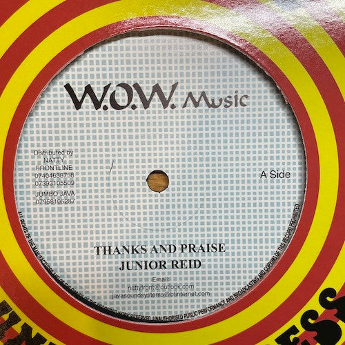 Junior Reid : Thanks And Praise (12", RP)
