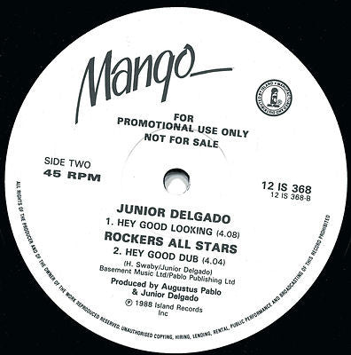 Junior Delgado : Hanging Tree (12", Promo)