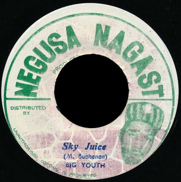 Big Youth : Sky Juice / Not Long A Go (7")