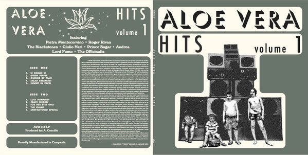 Various : ALOEVERA HITS VOL 1 (LP, Album)