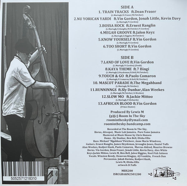 Various : Room In The Sky 200th (LP, Comp, Rec)