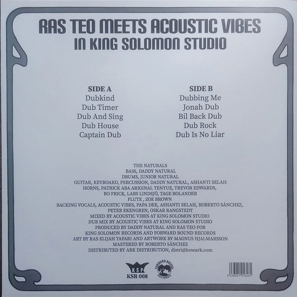 Ras Teo meets Acoustic Vibes : Coming Home Dub (LP, Album)