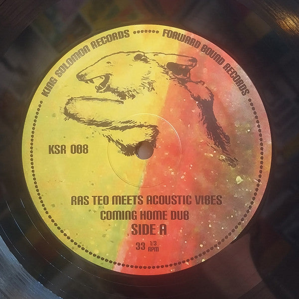 Ras Teo meets Acoustic Vibes : Coming Home Dub (LP, Album)