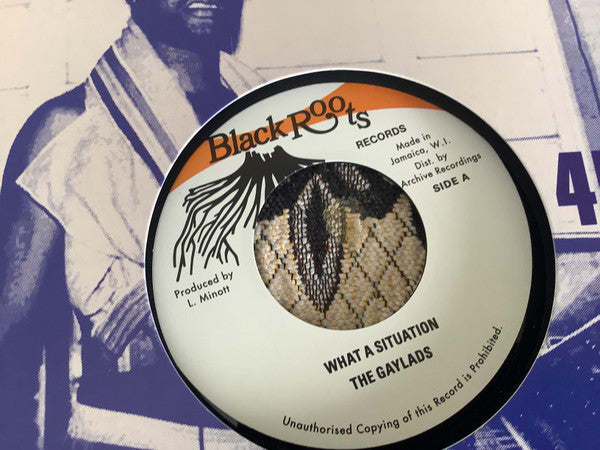 The Gaylads : What A Situation (7", RE)