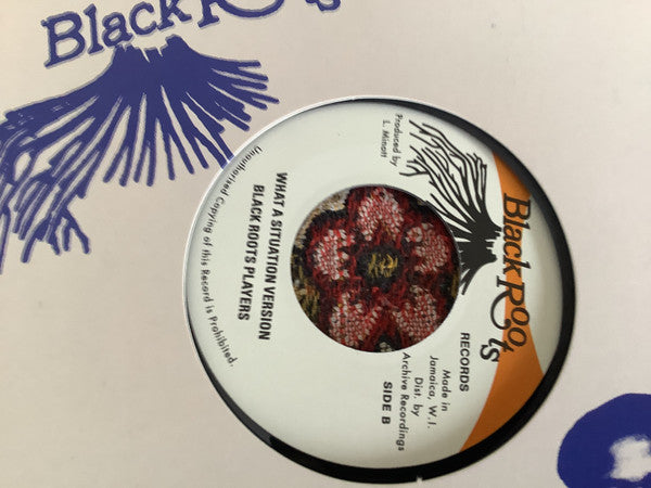 The Gaylads : What A Situation (7", RE)