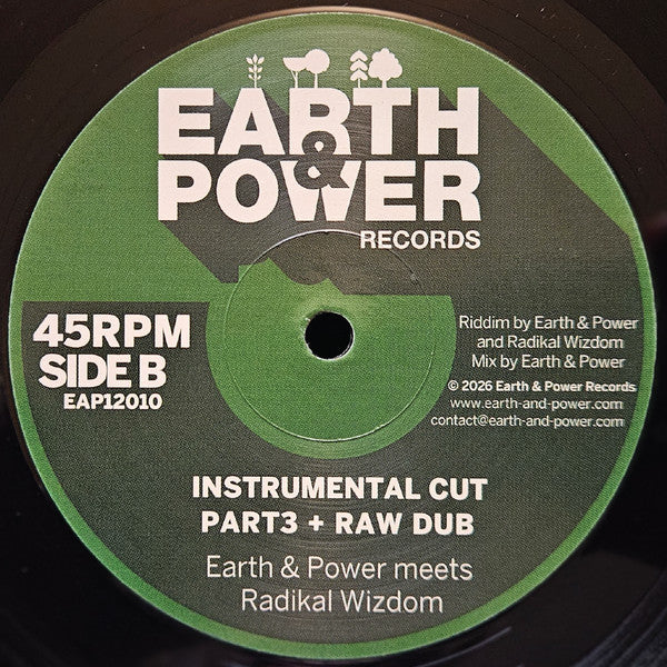 Ranking Fox, Baltimores, Earth & Power, Radikal Wizdom : I'm Not Insane - Push On (12", Maxi)