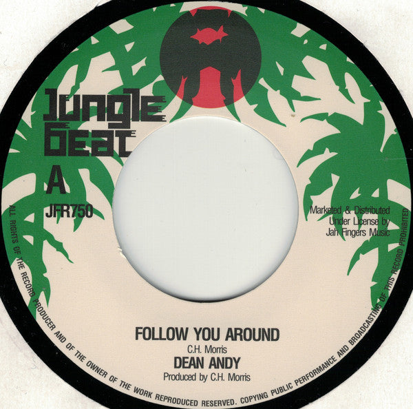 Dean Andy : Follow You Around (7", RE)