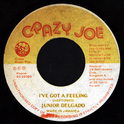 Junior Delgado : I've Got A Feeling (7")