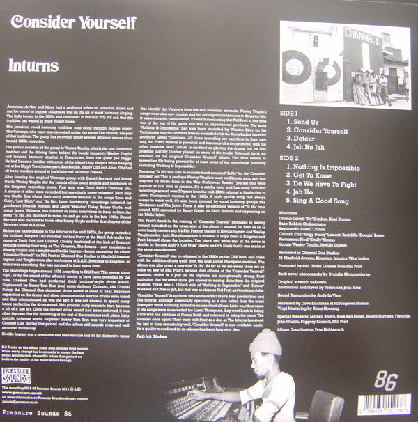 The Interns (2) : Consider Yourself (LP, Album, RE)
