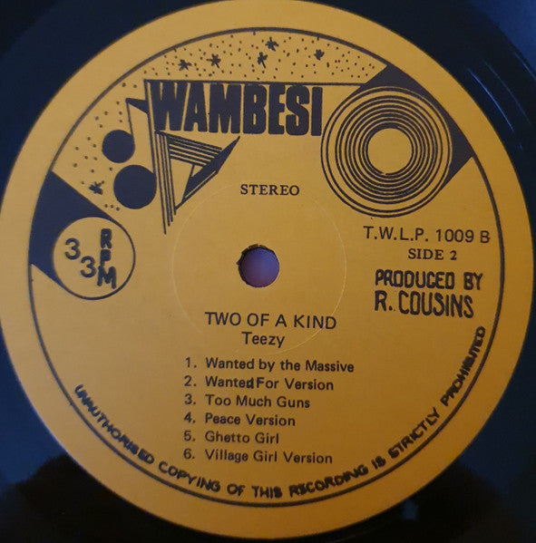 Junior Reid & Teezy : Two Of A Kind (LP)