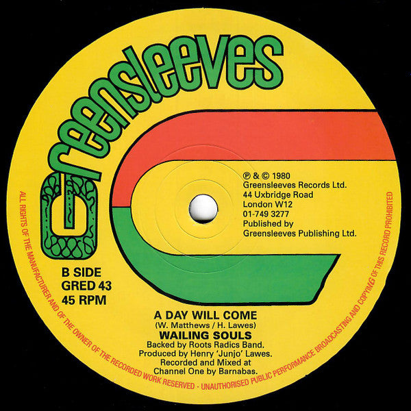 Wailing Souls : Kingdom Rise Kingdom Fall (12", RE)