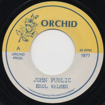 Errol Walker / The Upsetters : John Public / Public Version (7")