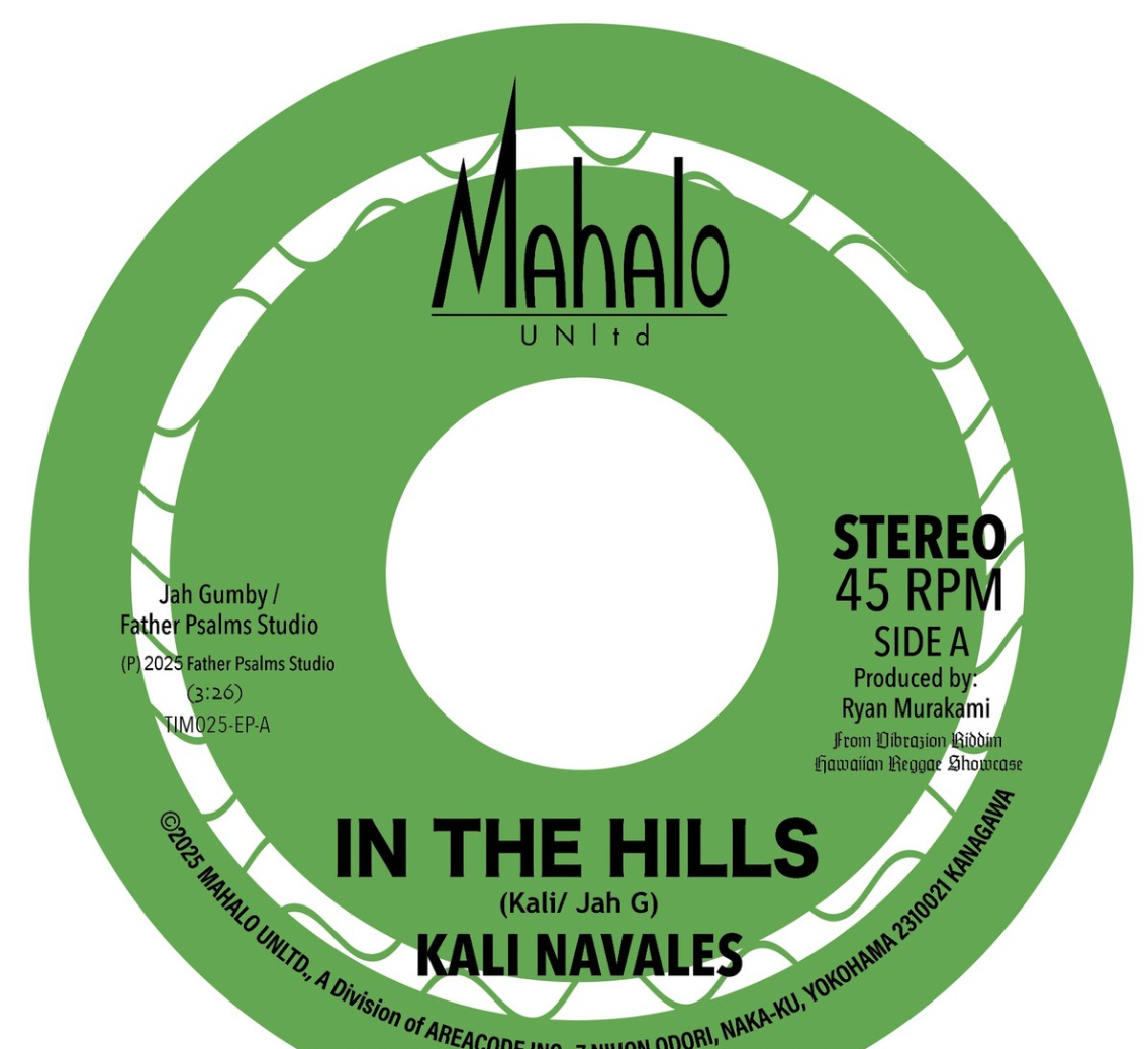 In The Hills / Inna Di City