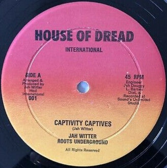 Jah Witter : Captivity Captives  (12", Ltd)